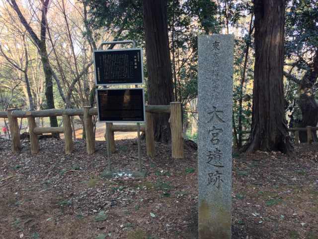 和田掘公園近くの高台にある大宮遺跡