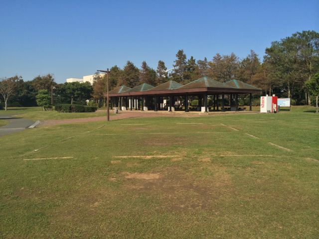 若洲公園のキャンプ場