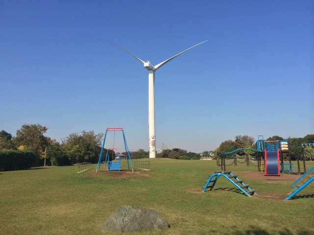 海浜公園の多目的広場