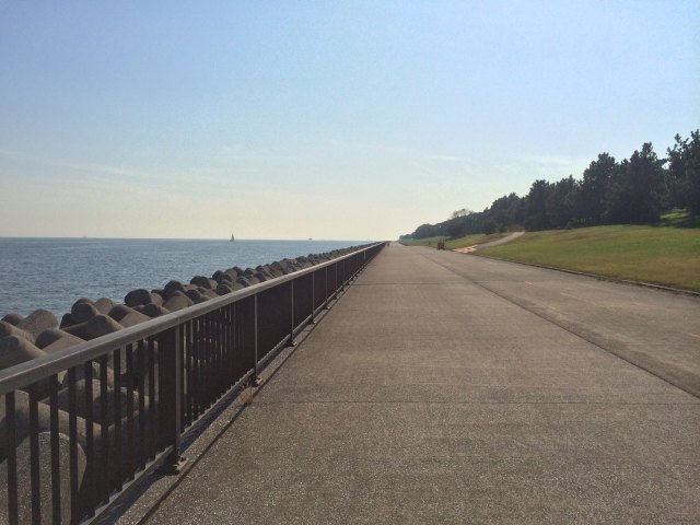 若洲海浜公園のサイクルロード・北から南を眺めたところ