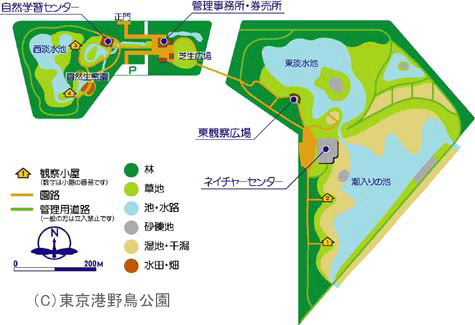 東京港野鳥公園の園内マップ