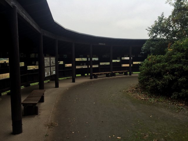 東京港野鳥公園の東観察広場