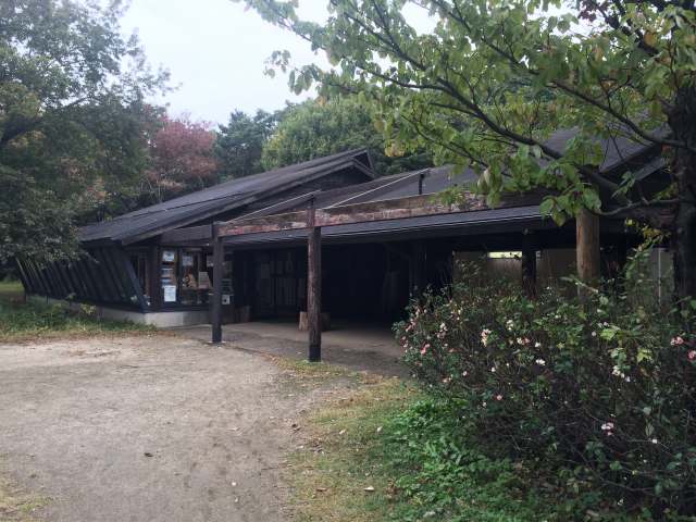 東京港野鳥公園の自然学習センター