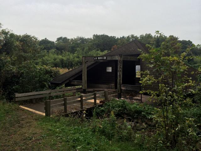 東京港野鳥公園の4号観察小屋