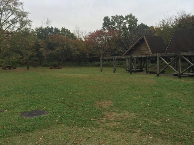 東京港野鳥公園の芝生広場