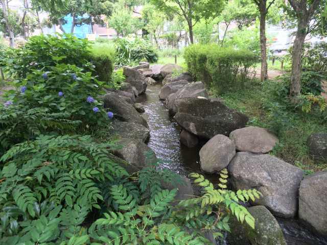 横網町公園の日本庭園~せせらぎ