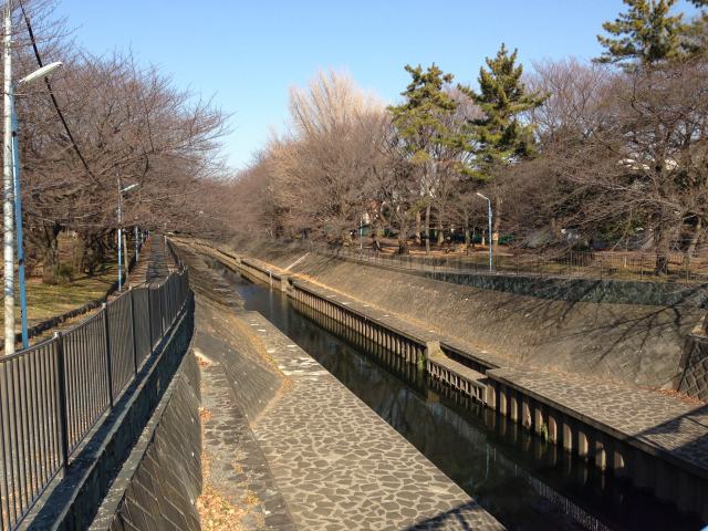 善福寺川全景