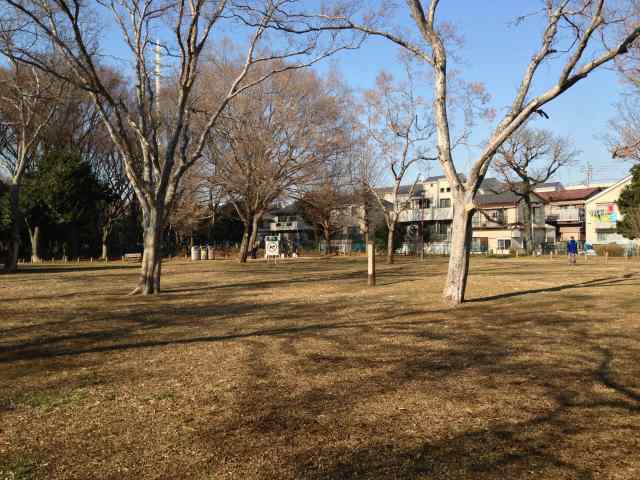 善福寺川緑地の緑陰広場