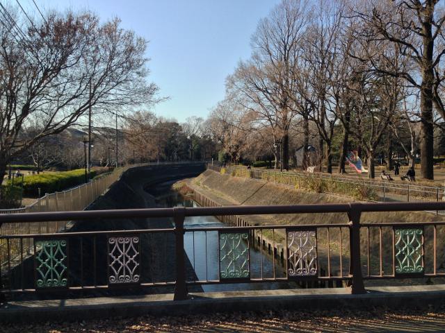 善福寺川緑地の白山前橋