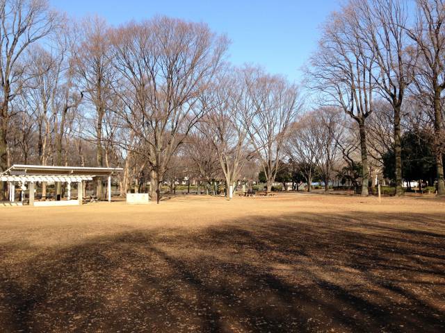 善福寺川緑地のセンター広場