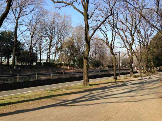 善福寺川緑地野球場