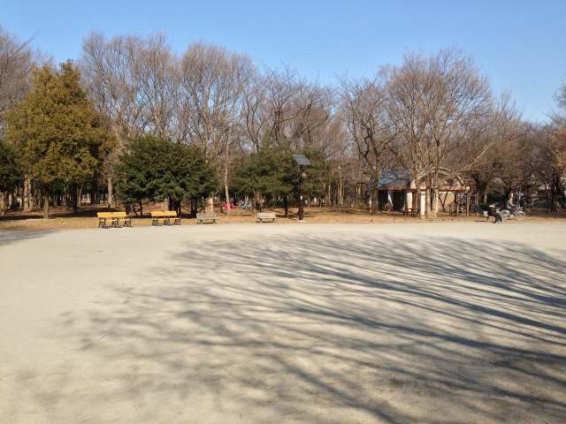 善福寺川緑地の杉二小前広場