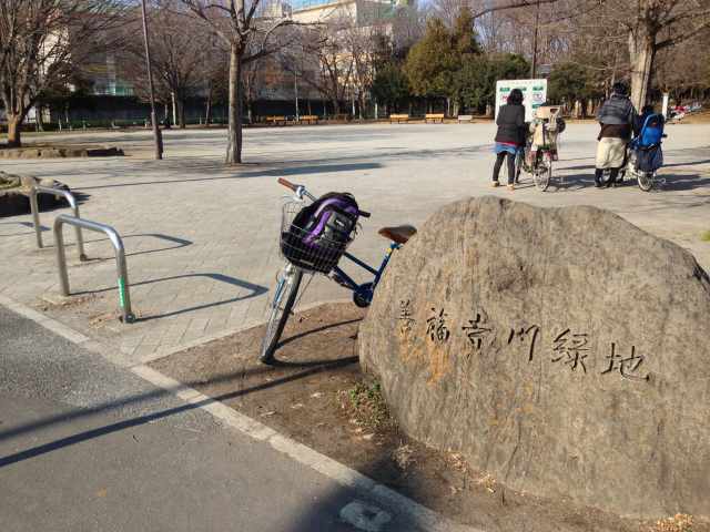 善福寺川緑地の尾崎橋付近