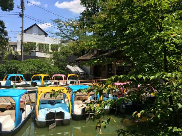 善福寺公園の貸しボート場