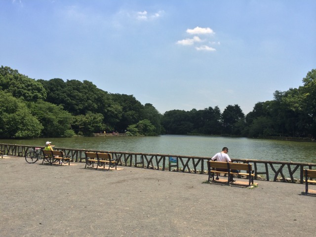 善福寺公園の上の池～北から見たところ