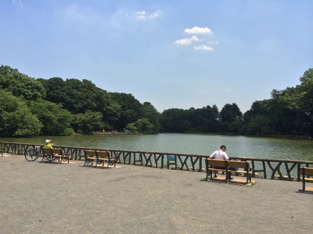 善福寺公園の上の池~北から見たところ