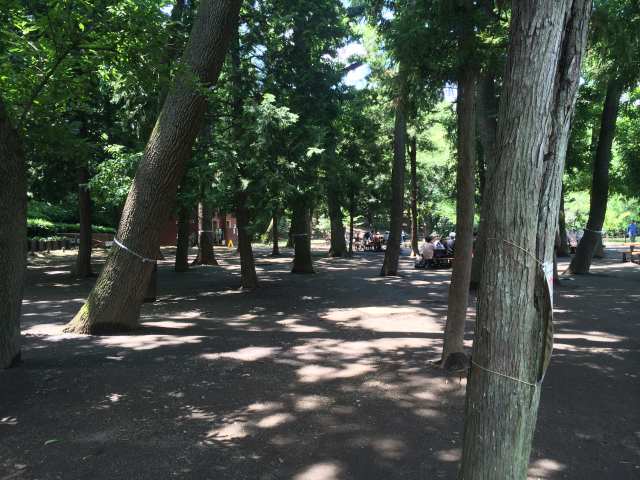 善福寺公園のいこいの広場